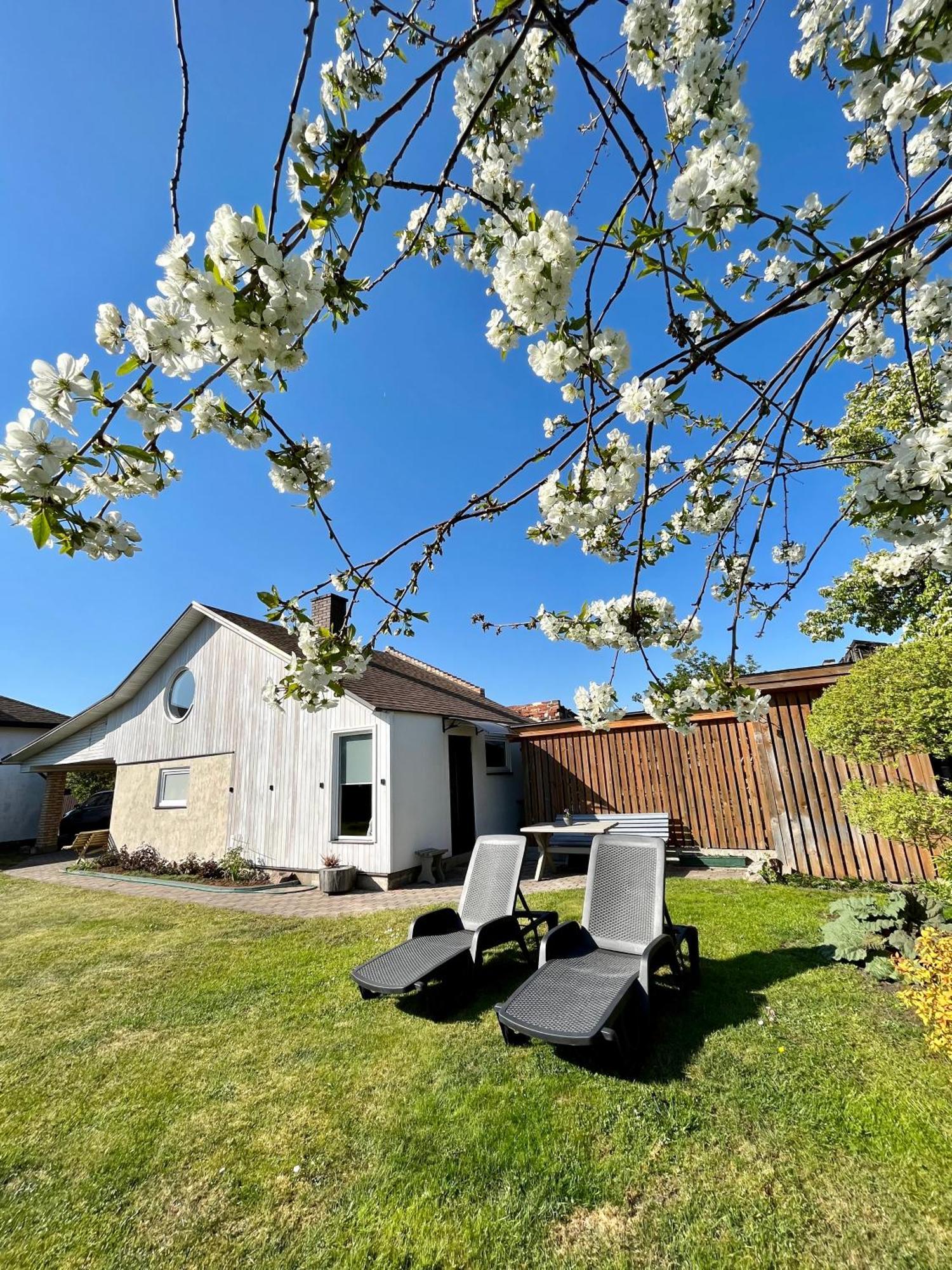 Two Story Tiny House Villa Ventspils Luaran gambar